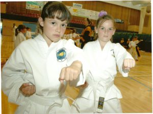 Beginners Taekwondo classes