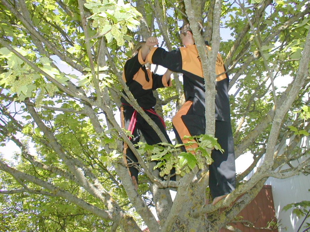 2 students practicing self defence in a tree