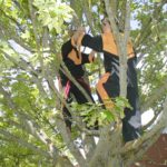 2 students practicing self defence in a tree